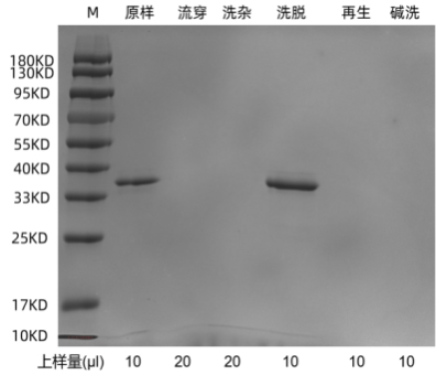 640 (10).png