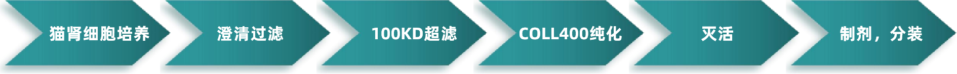 .png