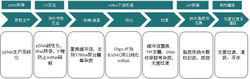 ͼƬ1.png