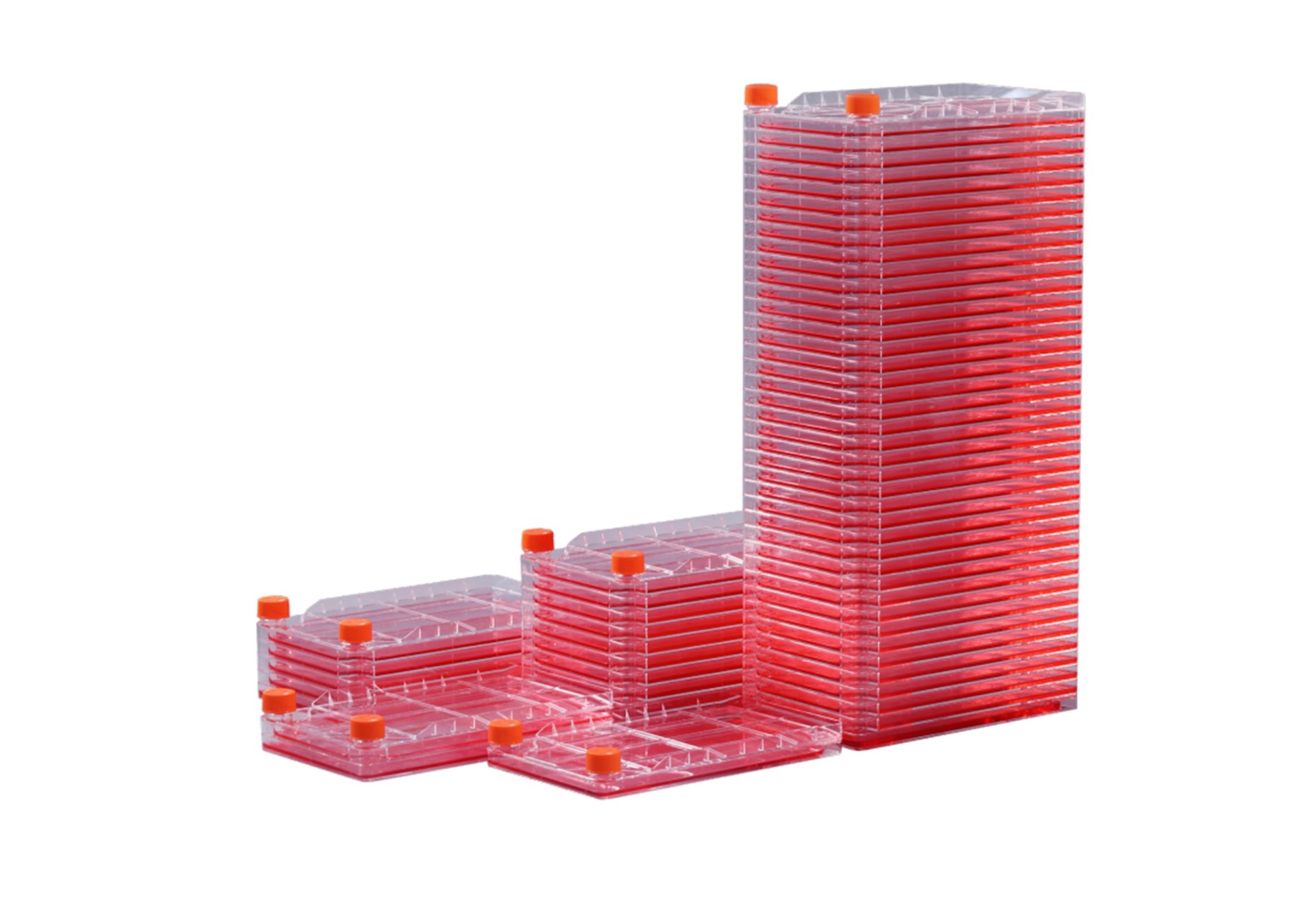 BioHub® ϵһϸ