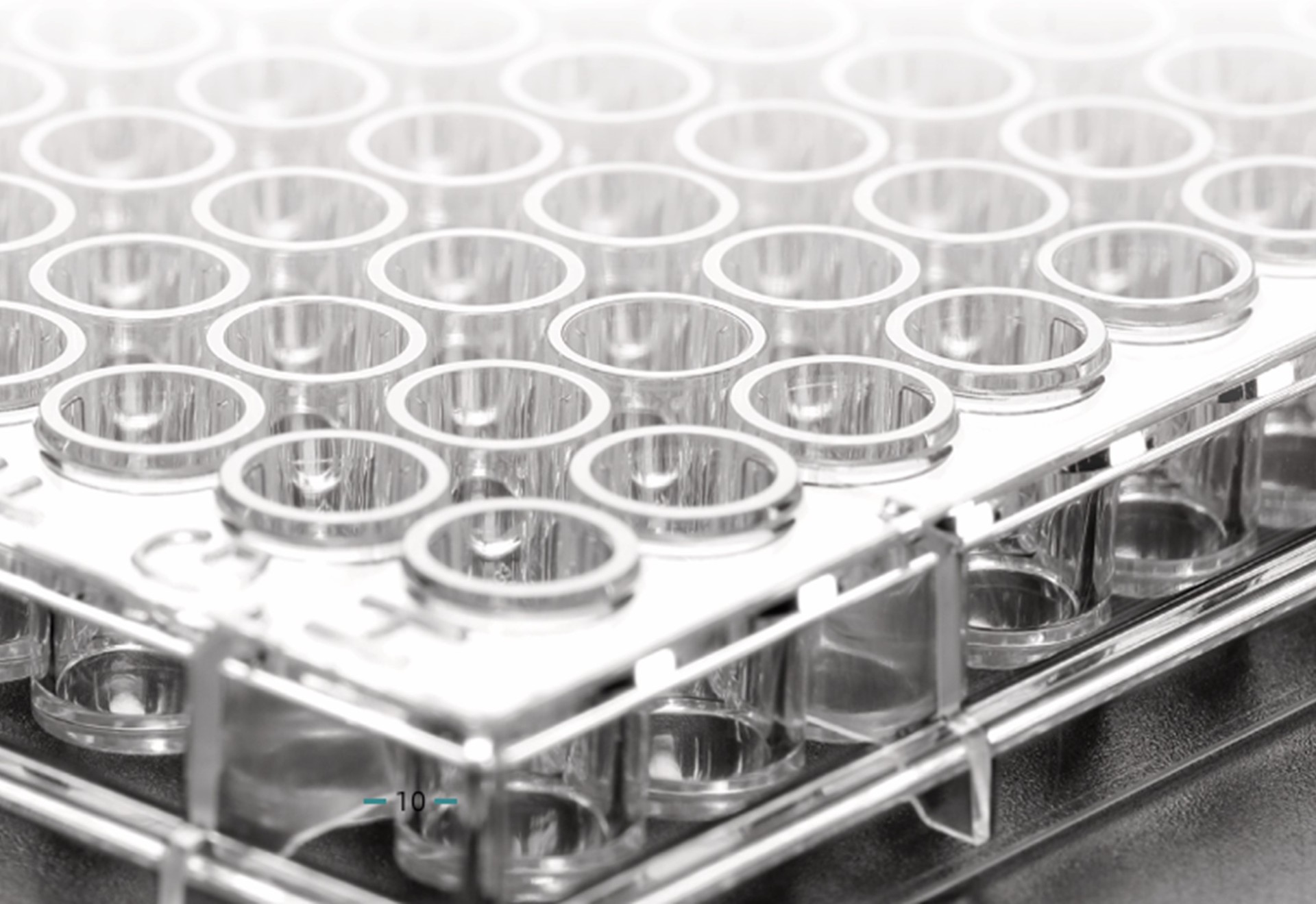 BioHub® ϵжϸ